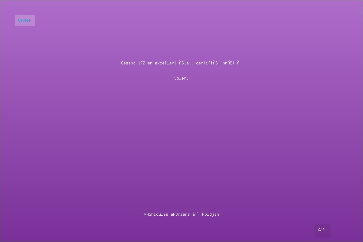 Cessna 172 - Avion de tourisme - Image 2