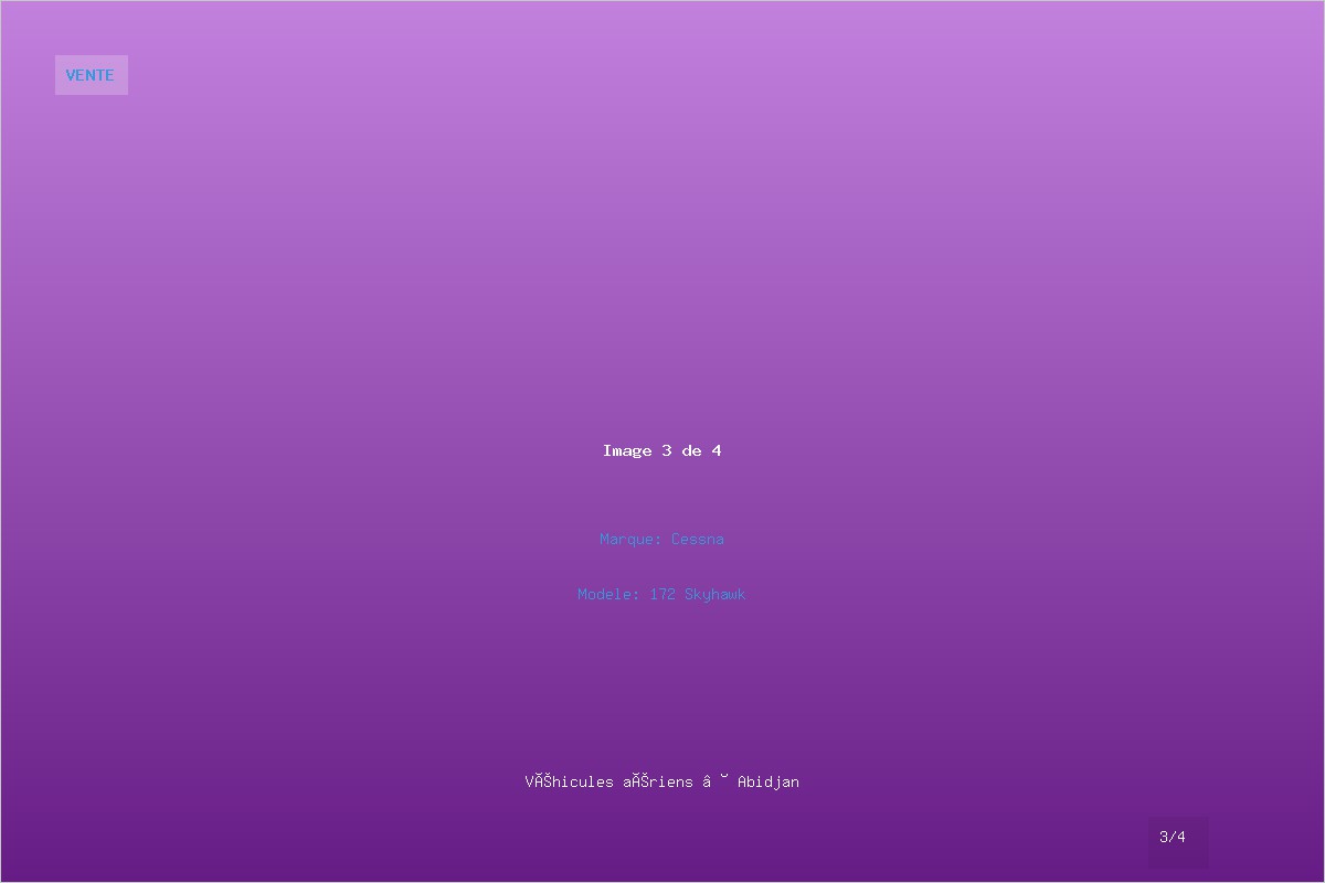 Cessna 172 - Avion de tourisme - Image 3